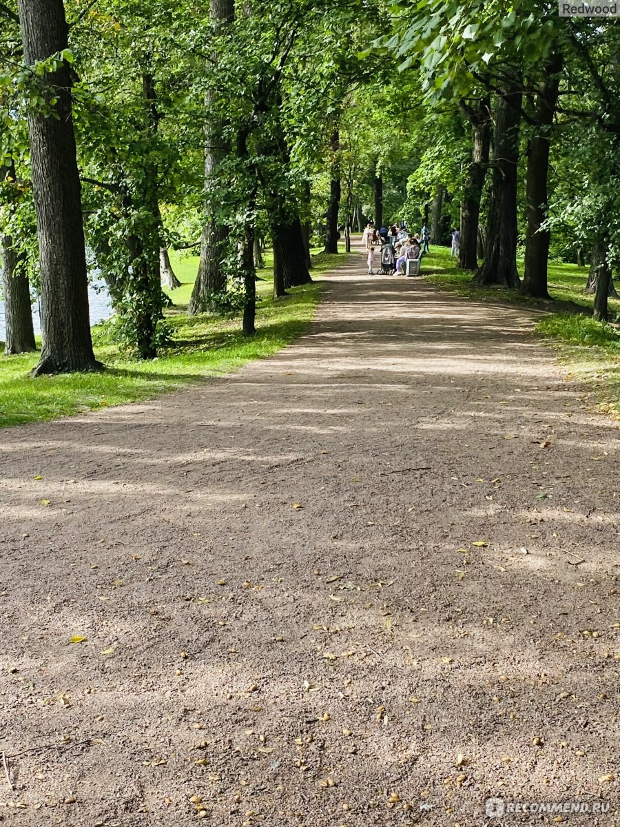 Парк кирова санкт петербург фото Центральный парк культуры и отдыха (ЦПКиО) имени С.М. Кирова, Санкт-Петербург - 