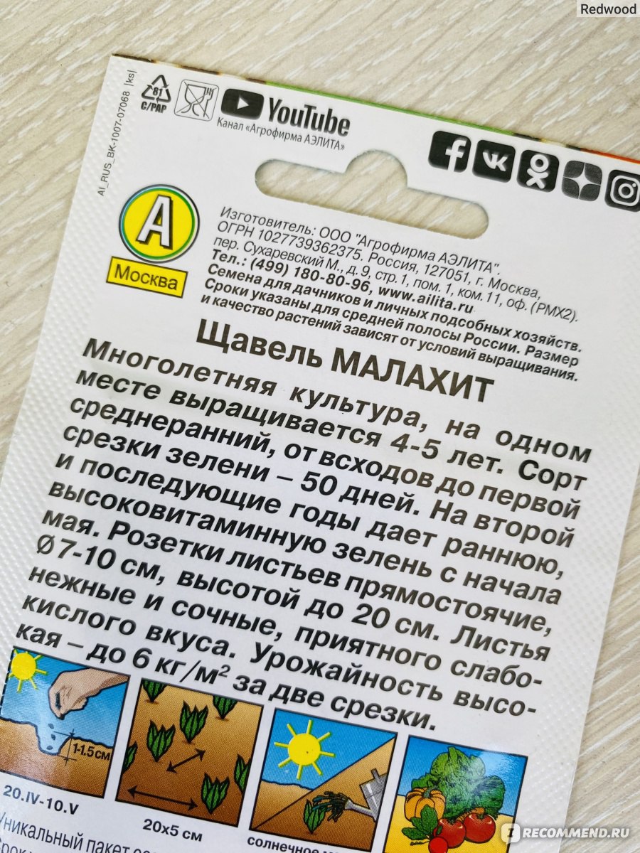 Щавель Малахит Аэлита - «Собираю урожай за урожаем на балконе | Как вырастить  щавель Малахит на подоконнике 🌱» | отзывы