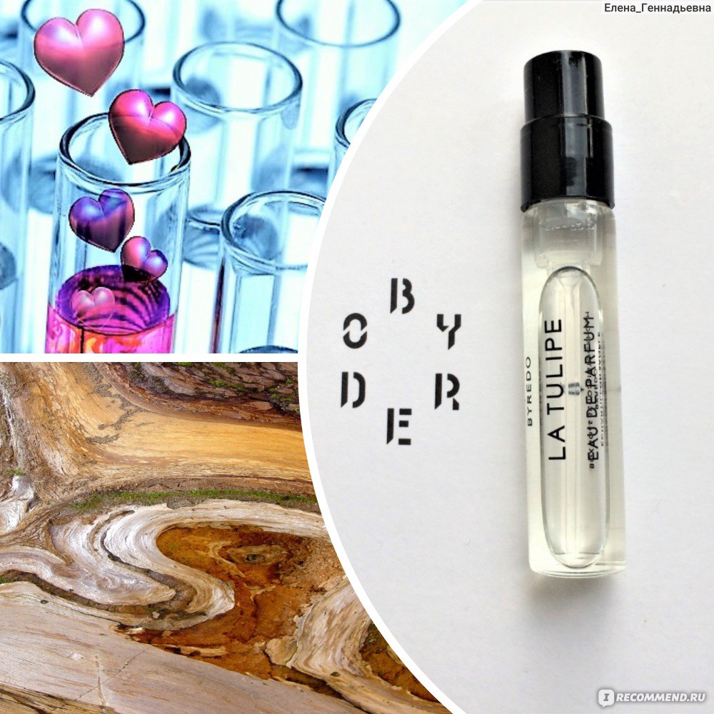 Byredo la tulipe отзывы. Byredo la Tulipe пирамида. Byredo la Tulipe крем. Byredo la Tulip Эстетика. Похожие ароматы на Байредо la Tulipe мас Маркет Ноты аромата состав.