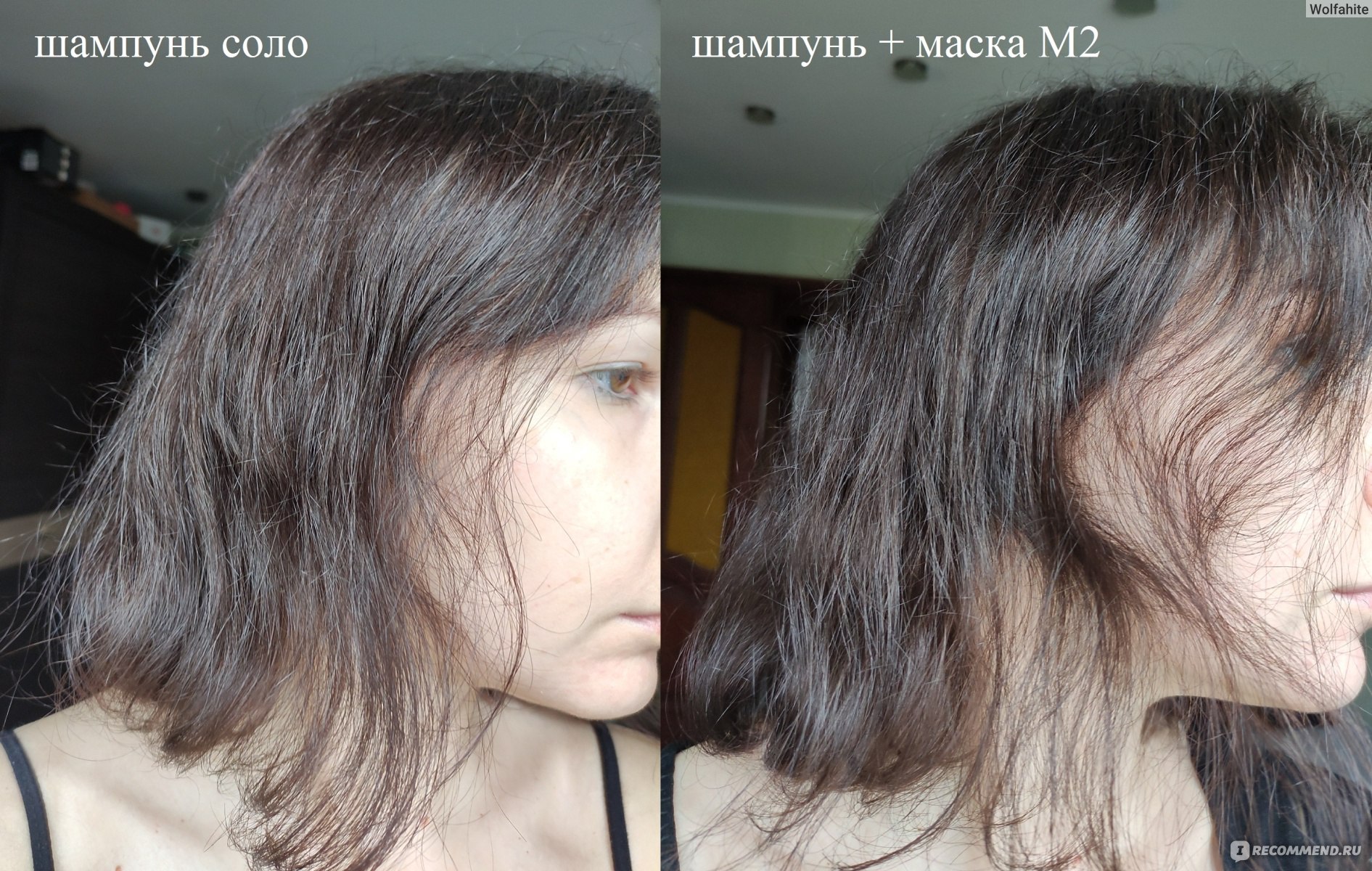 Шампунь ECHOSLINE S2 Dry and Frizzy Hair Shampoo - Для сухих и вьющихся ...