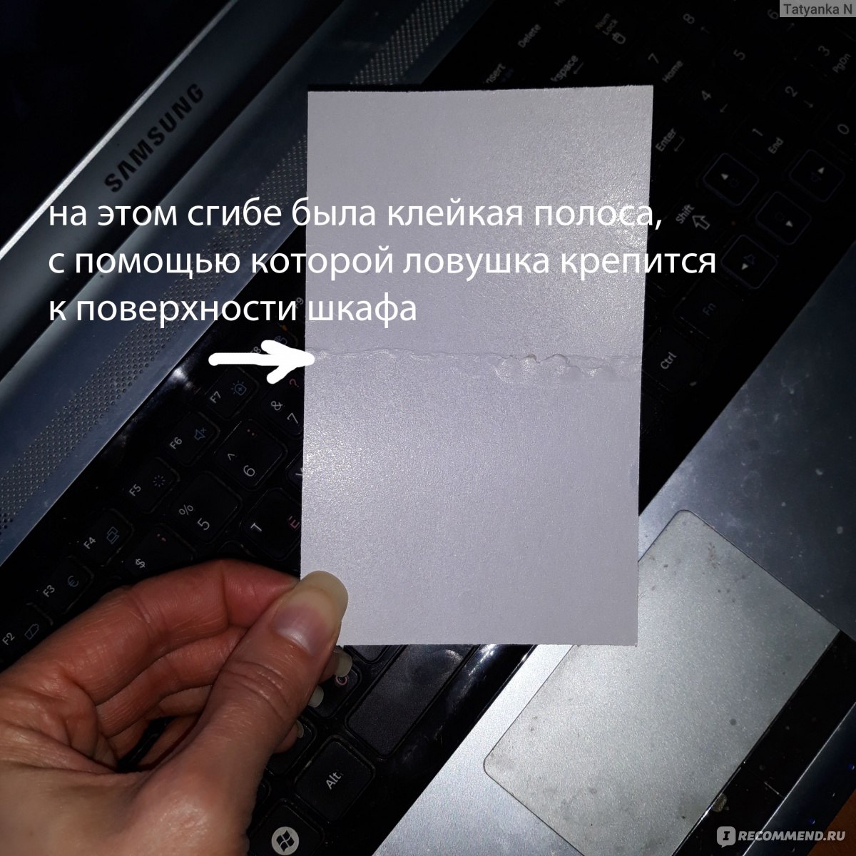 Липкая лента Раптор Ловушка для пищевой моли - «Когда моль атакует крупы, а  личинки завтракают моими мюсли. Как избавиться от пищевой моли? Фото не для  слабонервных.» | отзывы