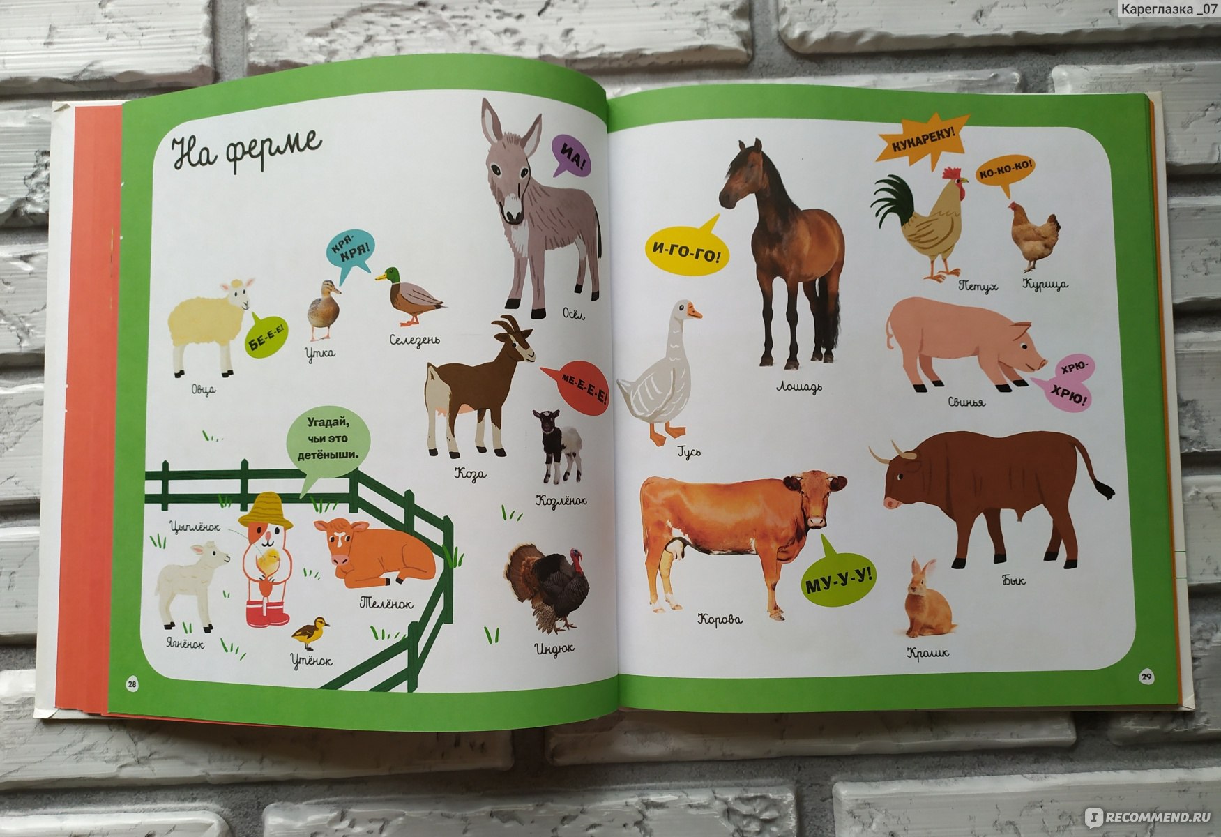 домашние животные книжка картинки
