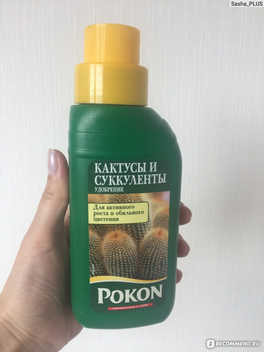 Удобрение для кактусов Покон (Pokon) 250мл