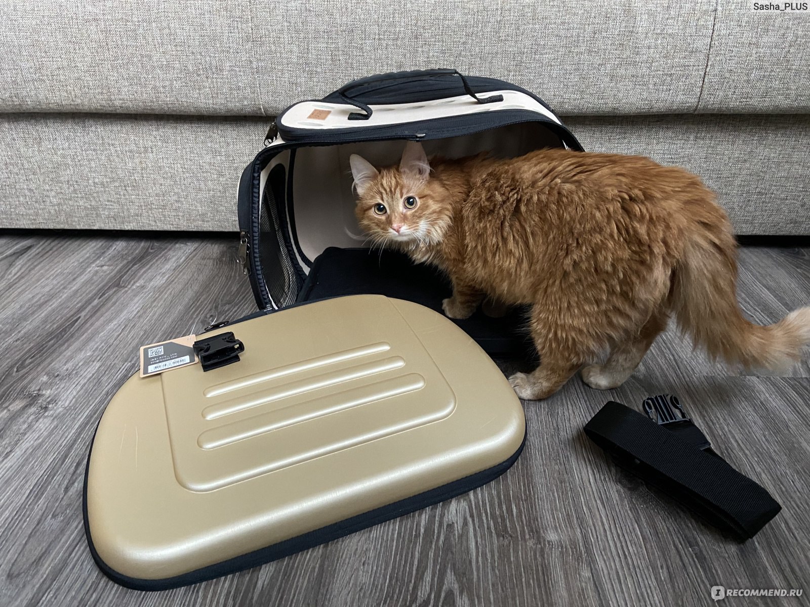 Переноски, сумки, аксессуары для кошек