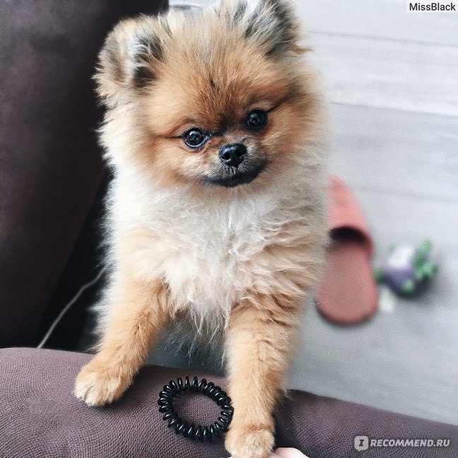 6 месяцев