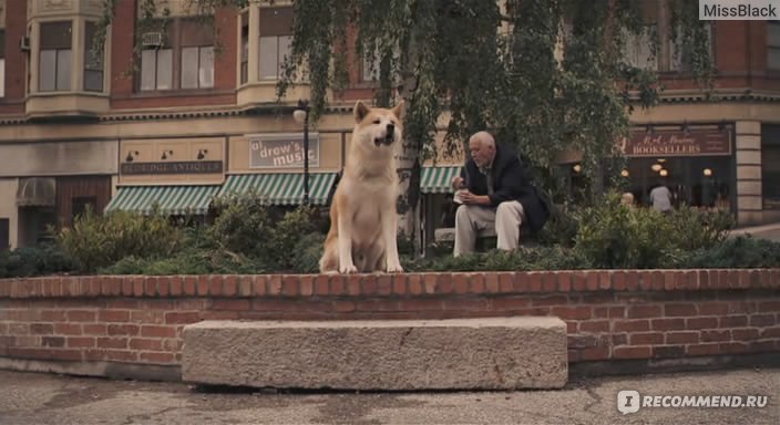 Верный друг ул пушкина 117 фото Хатико Самый верный друг / Hachiko: A Dog's Story (2009, фильм) - "Весь фильм я 