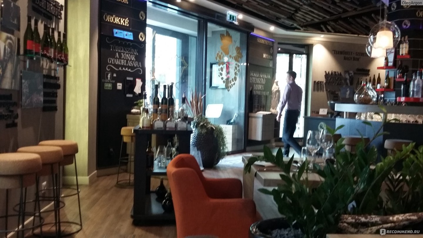 St.Andrea Wine & Gourmet Bar, Будапешт - «Еще одна звезда на ресторанном  небосклоне Будапешта» | отзывы