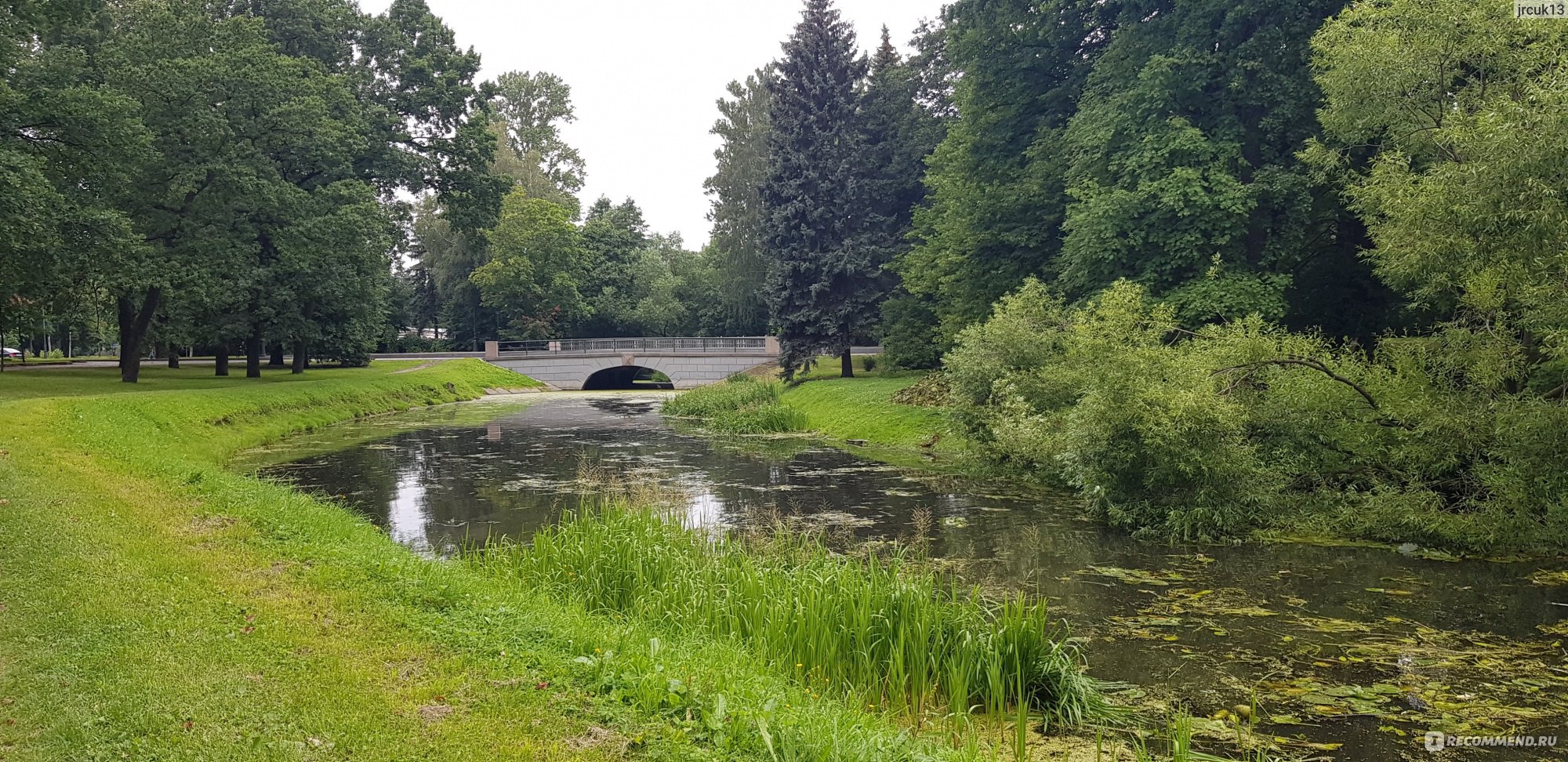 приморский парк в питере