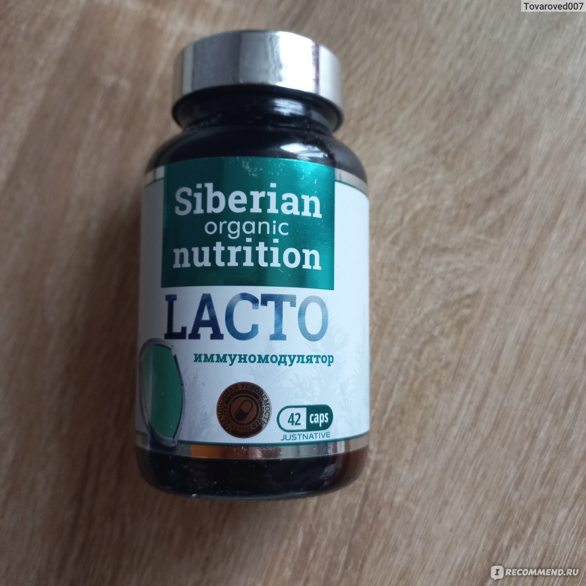 БАД Siberian Organic Nutrition Иммуномодулятор Lacto - «Полезная добавка  для иммунитета и бесперебойной работы кишечника.» | отзывы