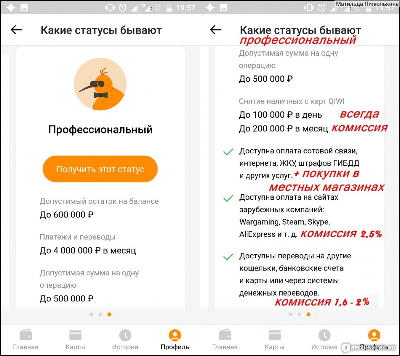 Киви статусы. Профессиональный киви кошелек. QIWI профессиональный статус. Статусы киви кошелька. Скриншот профессионального киви кошелька.