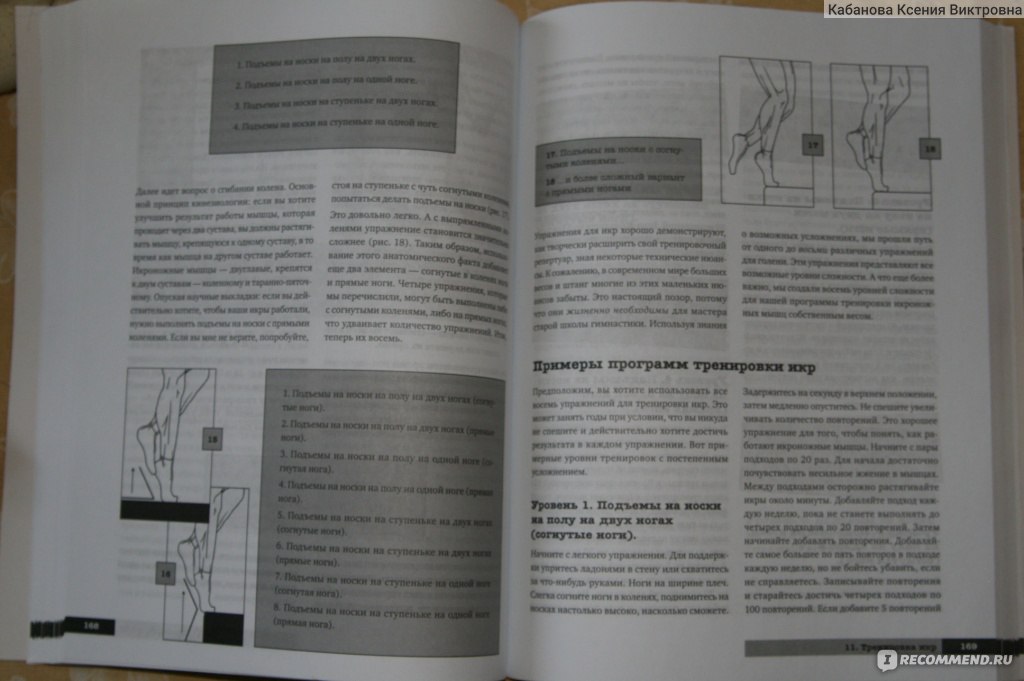 Анатомия физических упражнений Михаил Ингерлейб