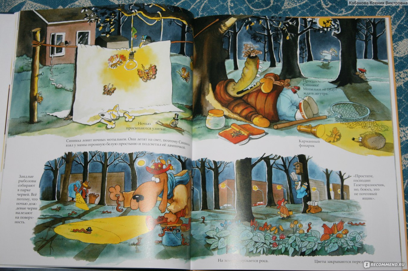 Книга история ночи. Ночные истории книга. Детская книжка ночь рождения. Книга для детей мило иллюстрирована. Вечерняя сказка пора спать книжка.