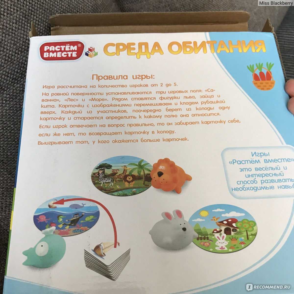 1Toy Игра развивающая 