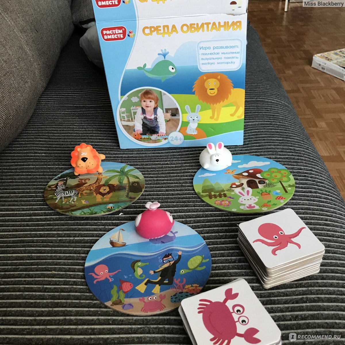 1Toy Игра развивающая 