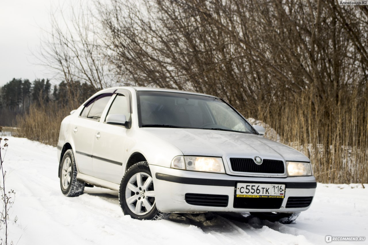 Skoda Octavia Tour - 2008 - «Надежный седан с огромным багажником» | отзывы