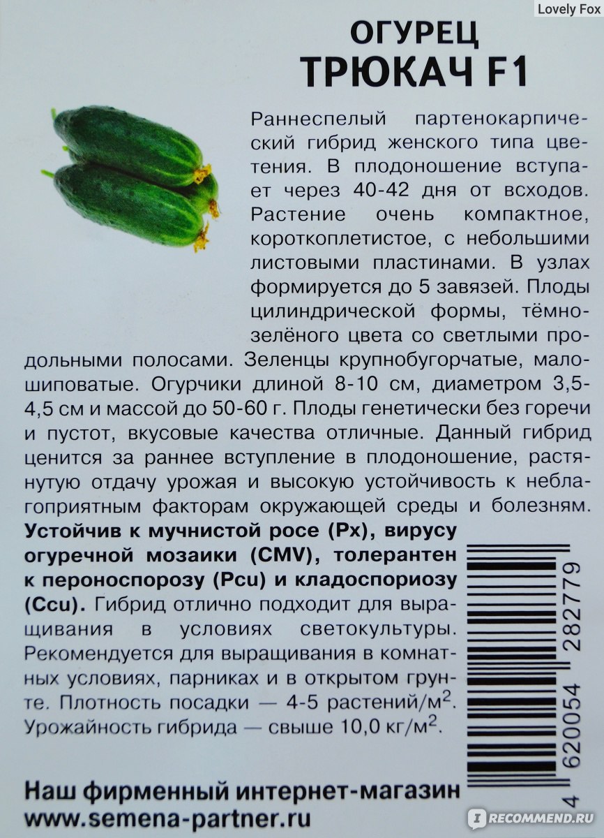 Огурец ТРЮКАЧ F1 от Партнёр - «Мини-растения как раз для домашнего  выращивания. Занимают немного места, можно выращивать в небольшой ёмкости и  формировать так, как больше нравится.» | отзывы