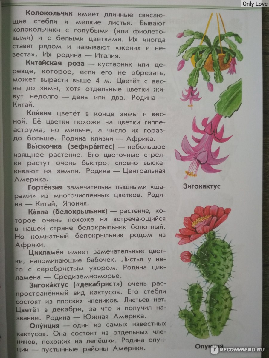 Атлас от земли до неба комнатные растения. Атлас от земли до неба мхи. Статья «мхи» в атласе определители. Статья мхи в атласе определителе от земли до неба. Прочитай статью мхи в атласе определителе от земли до неб.