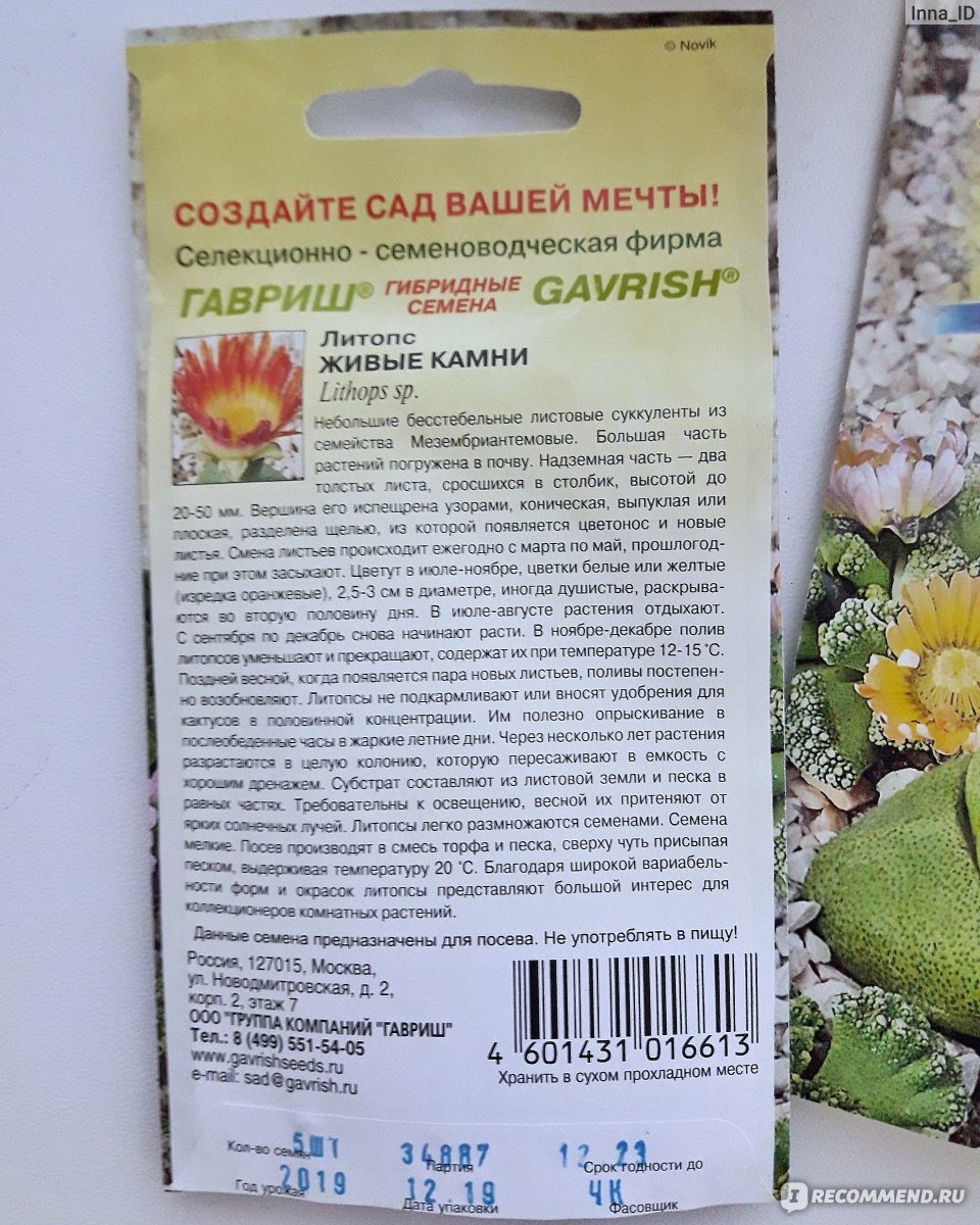 Семена Гавриш Литопс живые камни - «Хорошая всхожесть, но выживаемость не  радует. » | отзывы