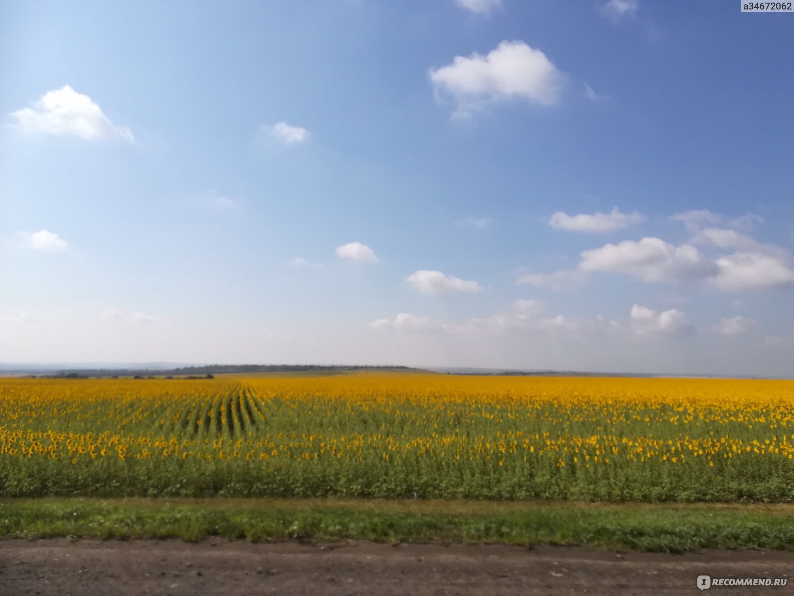 Схема парка лога каменск шахтинский