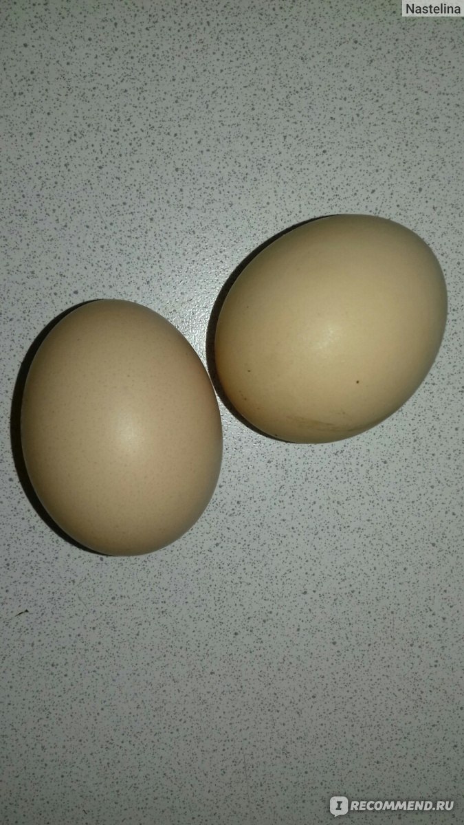 Рецепты питательных масок для лица с яйцом
