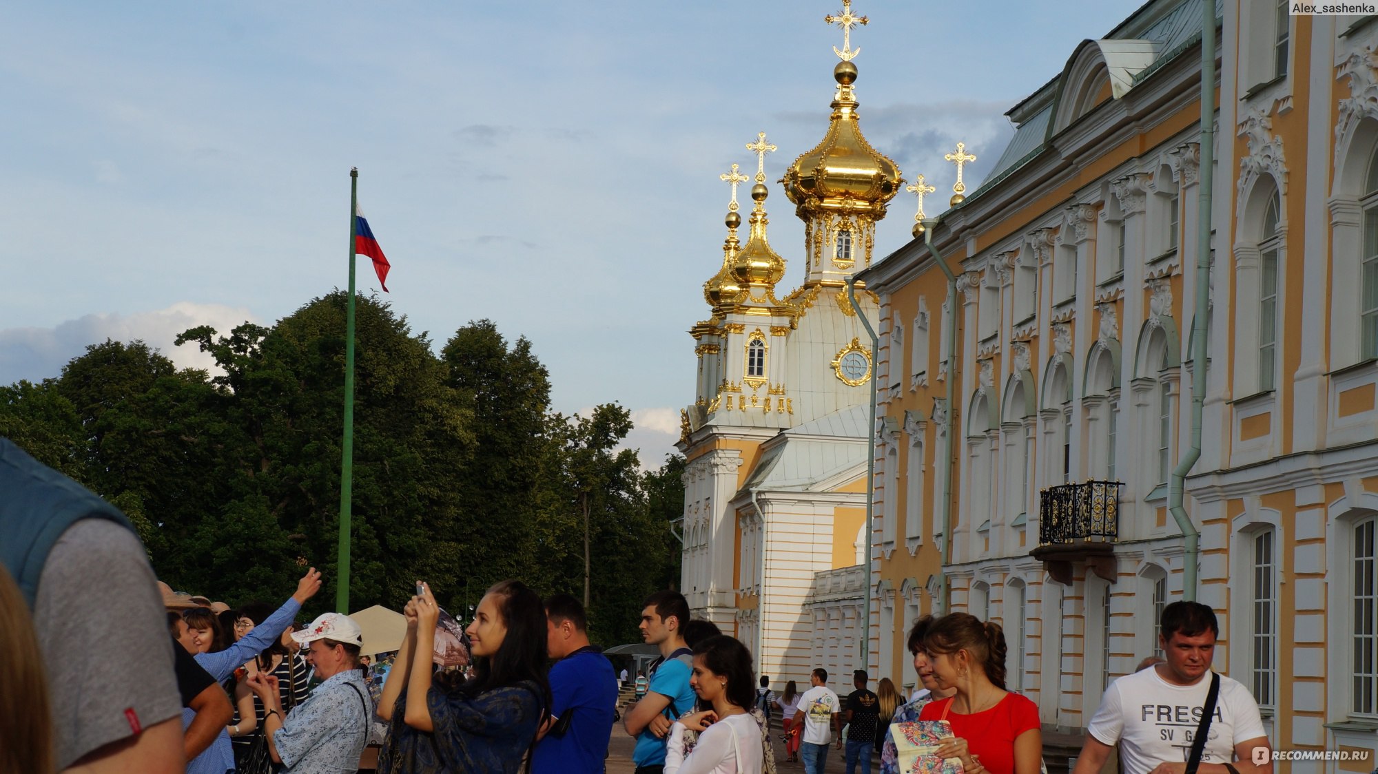 Под окном дома выросла вишня разбор