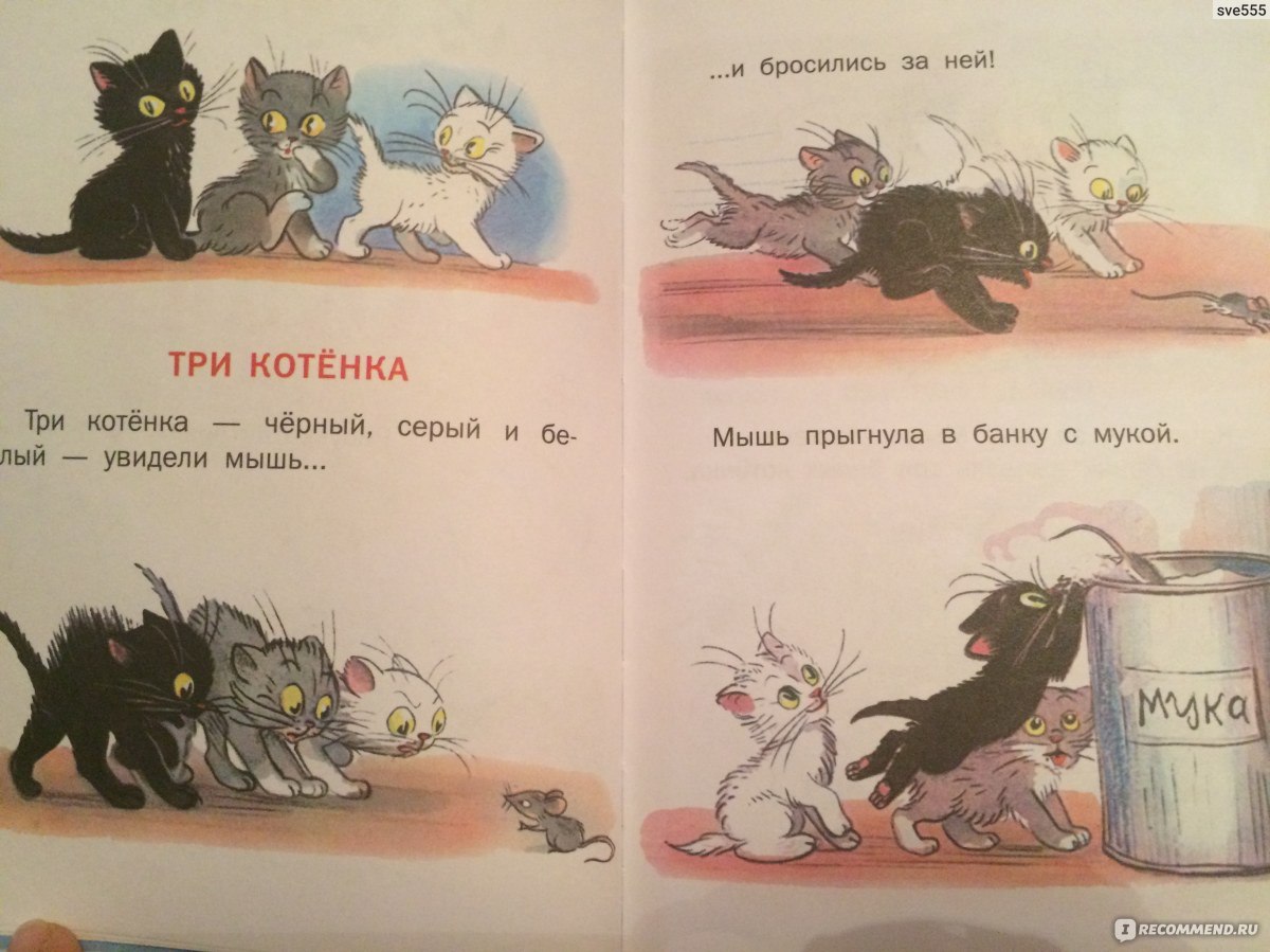 Три котёнка книга