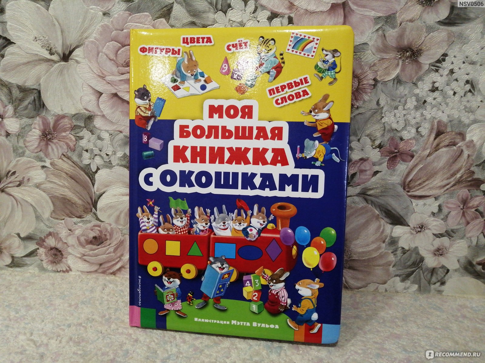 Моя большая книга