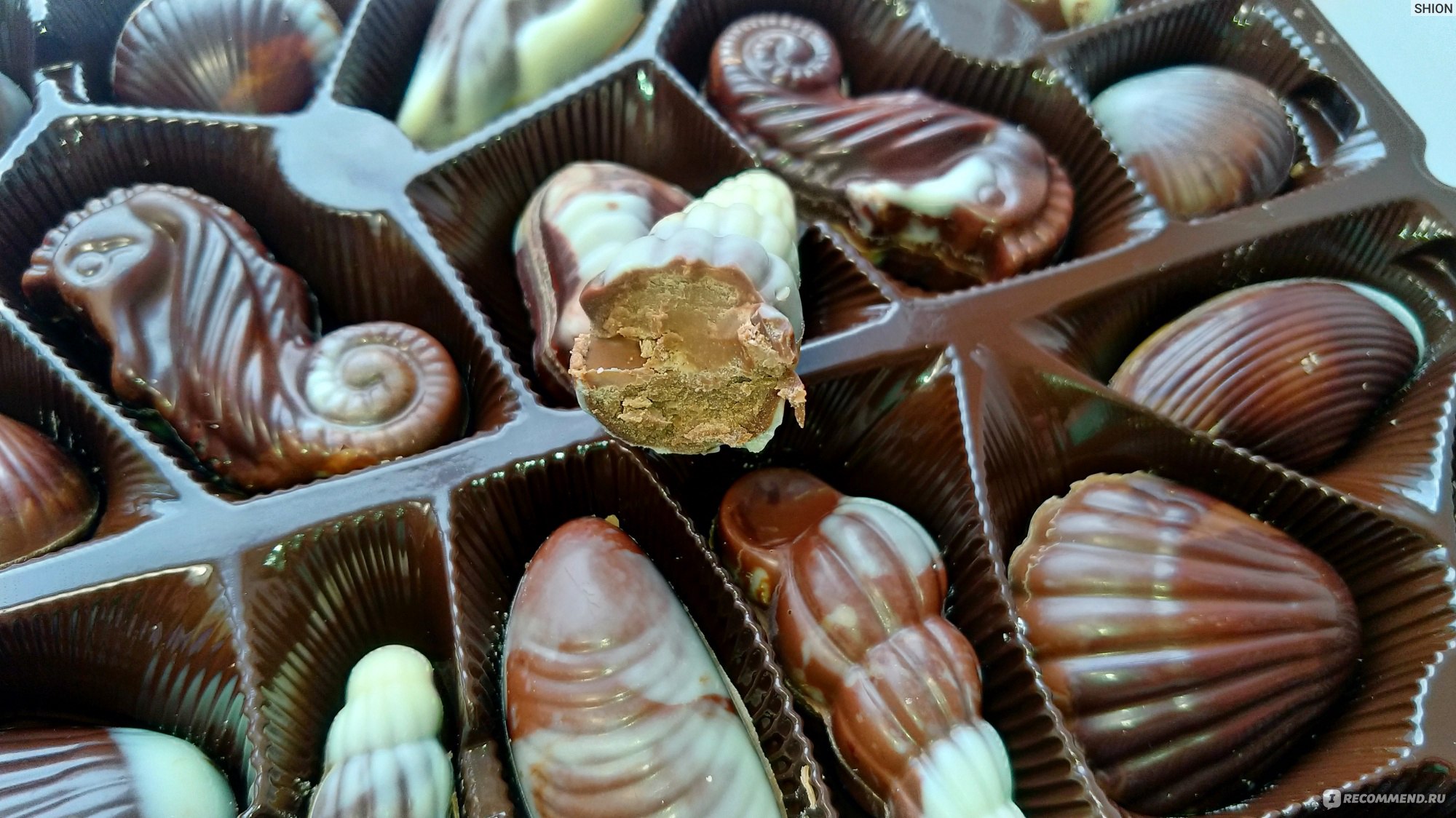 Конфеты Vandenbulcke Chocolate Seashells