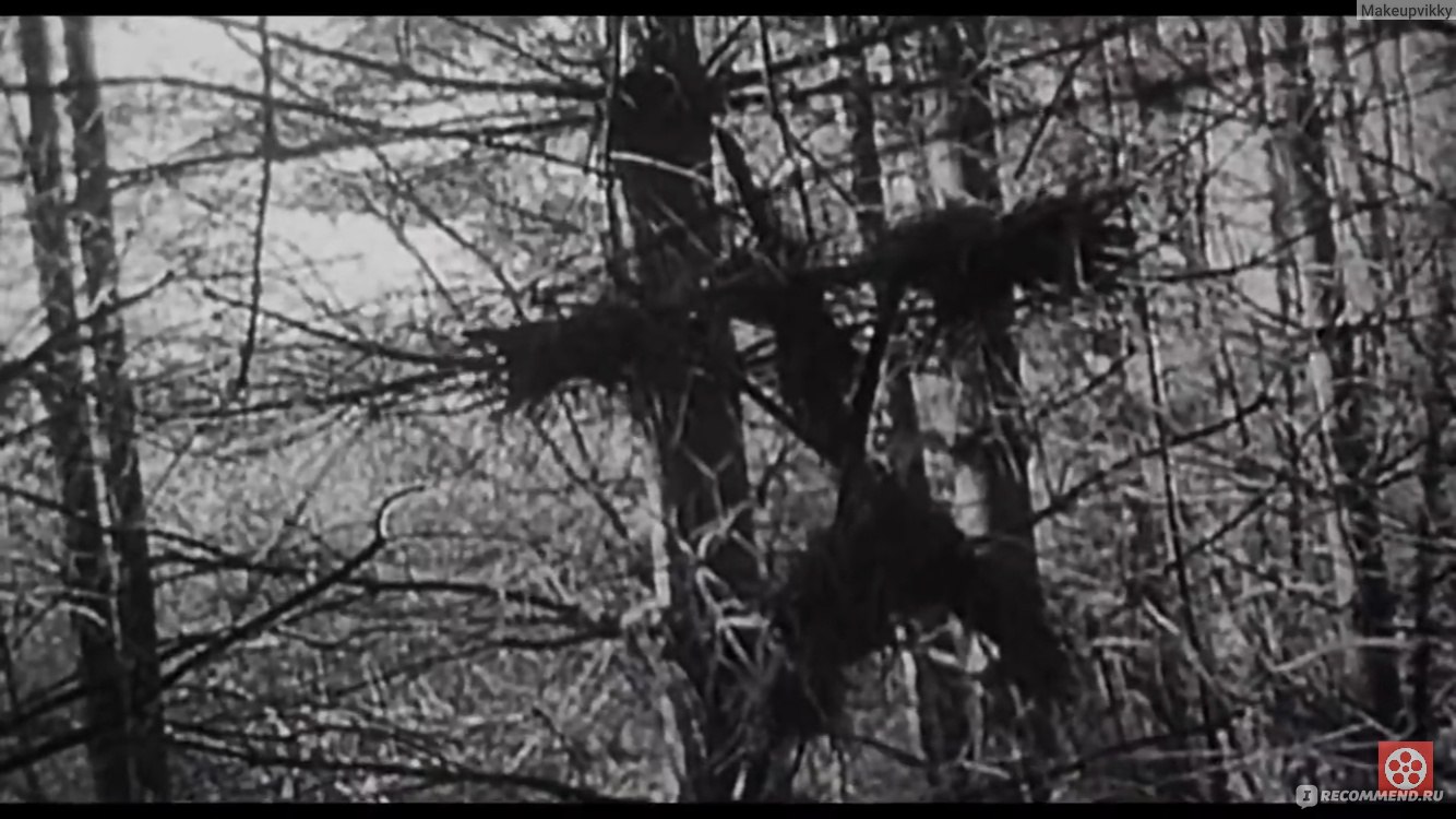 Ведьма из Блэр: курсовая с того света / The Blair Witch Project (1999,  фильм) - «Жесткач! Стремно было смотреть.» | отзывы