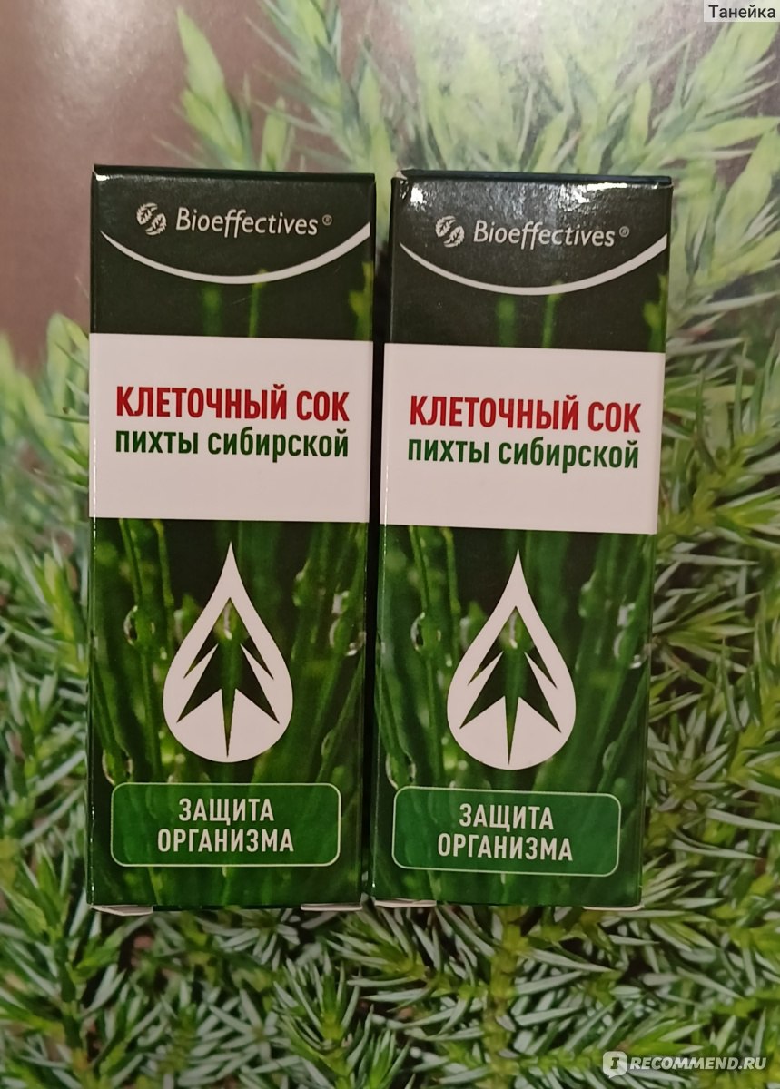 БАД BioEffective Клеточный сок пихты сибирской - «Как влияет клеточный сок пихты  сибирской на организм. ✓ Кладезь витаминов в каждой капле! » | отзывы