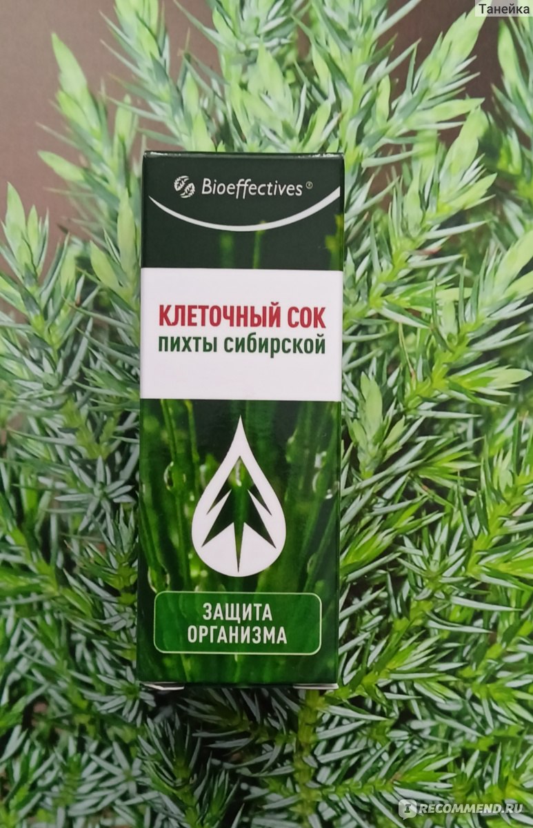 БАД BioEffective Клеточный сок пихты сибирской - «Как влияет клеточный сок пихты  сибирской на организм. ✓ Кладезь витаминов в каждой капле! » | отзывы