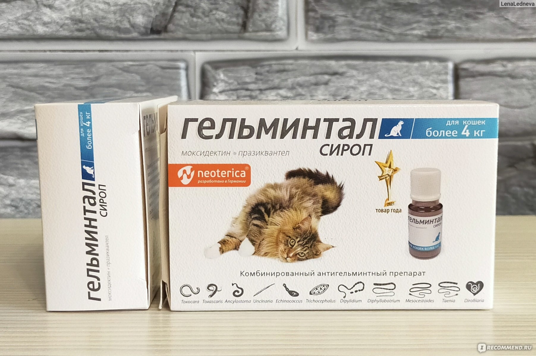 Антигельминтики Neoterica Гельминтал сироп для кошек более 4 кг - «🐛  Избавляемся от кошачьих пузожителей! Ведь защита Вашей кошки - Ваша защита!  😸» | отзывы