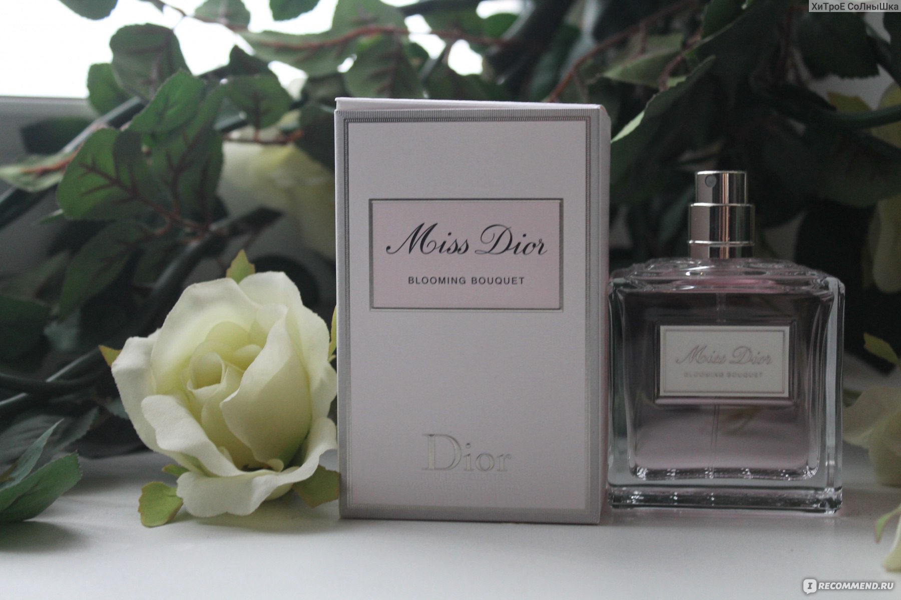 Мисс диор похожие ароматы. Miss Dior Blooming Bouquet 2023. Miss Dior Blooming Bouquet Шейк. Мисс диор Амбассадор. Армель Мисс диор духи.