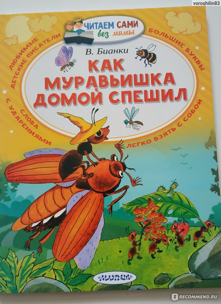 Как муравьишка домой спешил. Бианки Виталий Валентинович - ««Мне домой … А  у меня ноги.» Интересные сказки о животных.» | отзывы