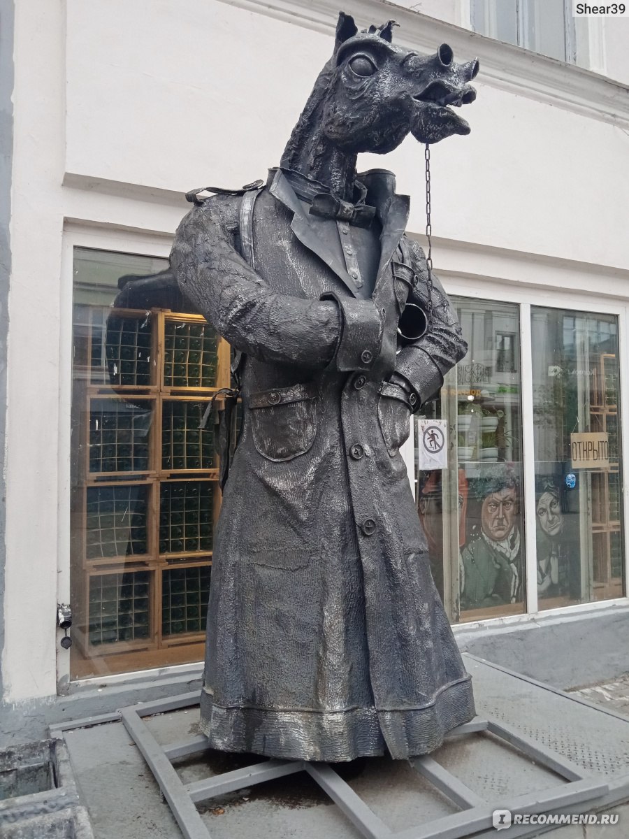 Конь в пальто Казань Баумана