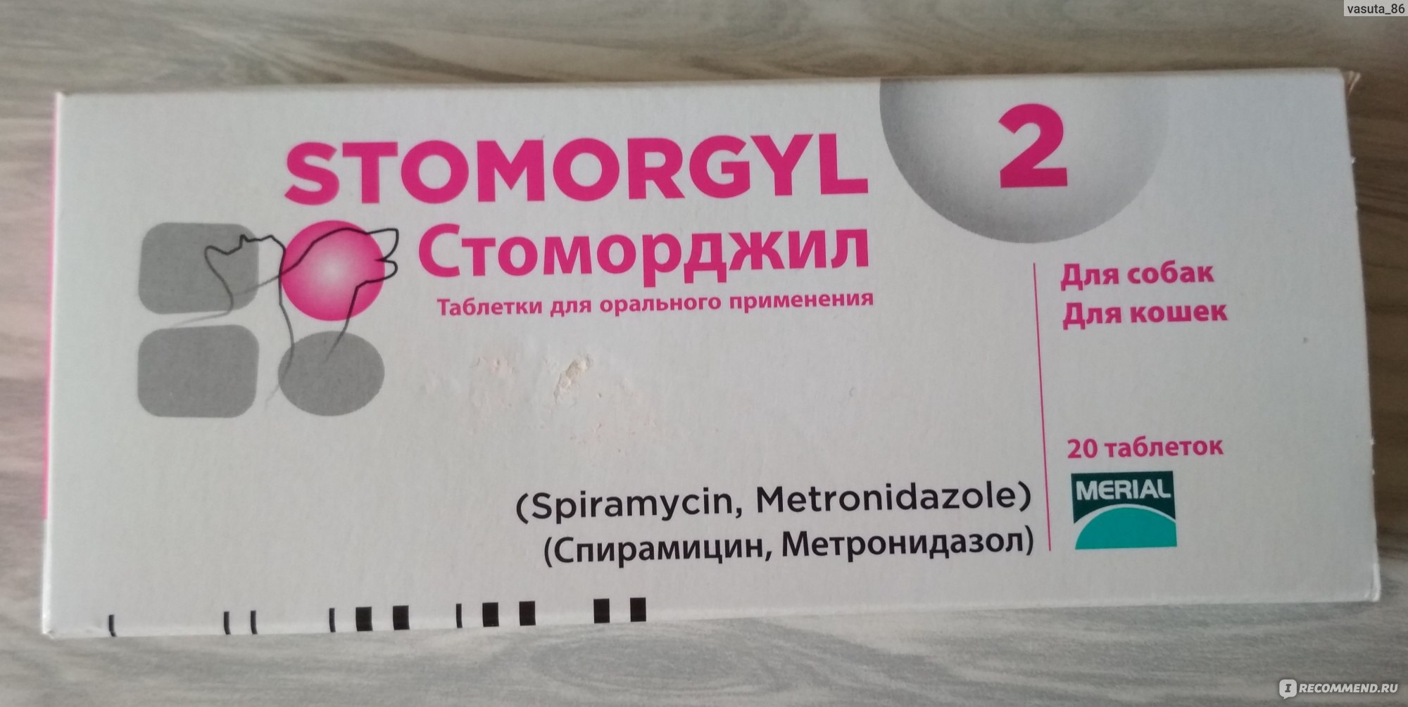 Стоморджил для кошек