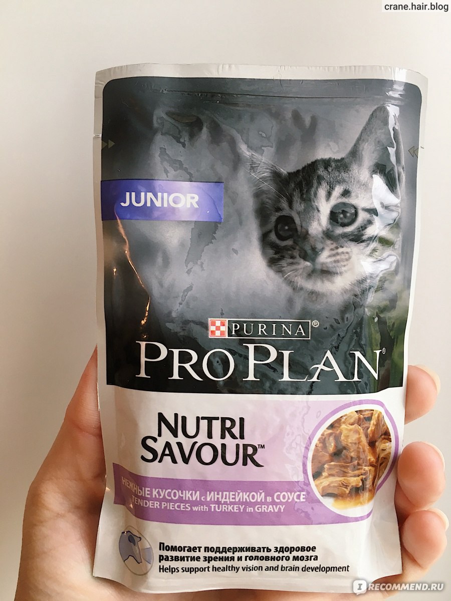 Проплан для кошек для шерсти. Purina Pro Plan (Пурина про план) паучи для кошек с говядиной - 85г.. Пурина Проплан для котят жидкий. Пурина Проплан для котят влажный. Пурина Проплан для котят с индейкой.