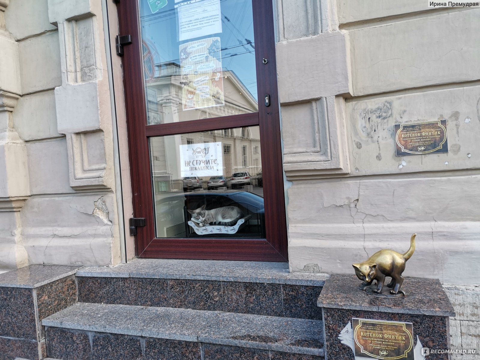 Республика кошек Санкт-Петербург Якубовича