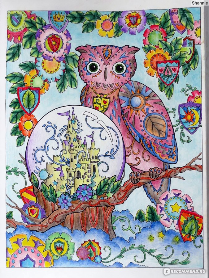 Раскраска-антистресс Owls - совы - Vilki Books
