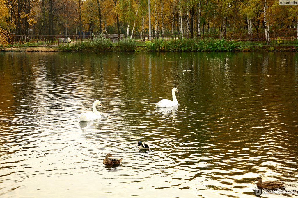 Сормовский парк нижний новгород