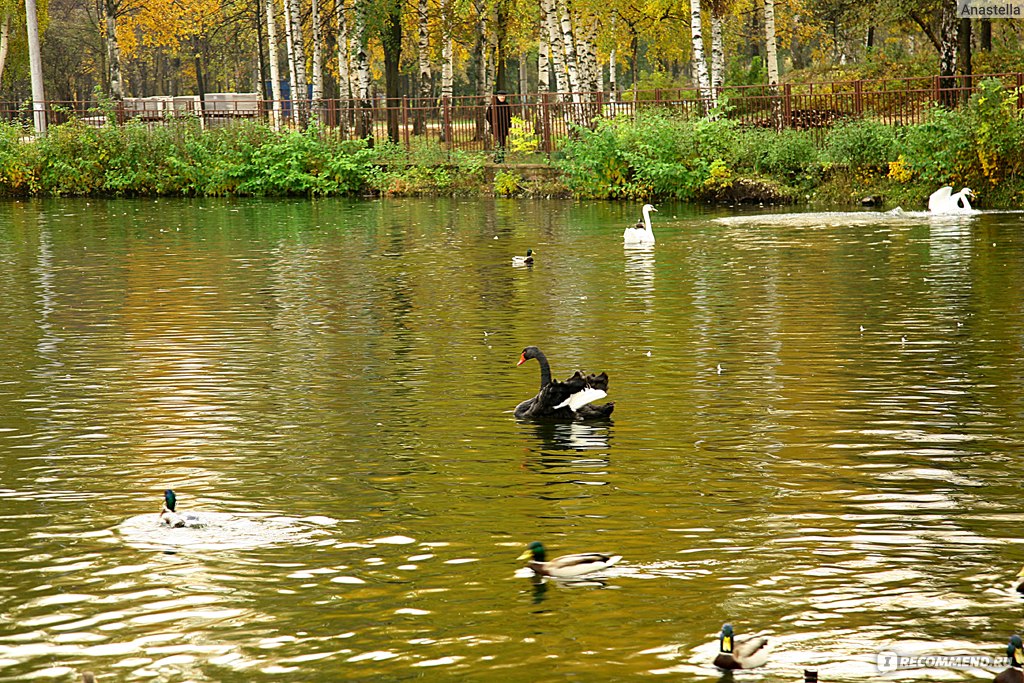 Сормовский парк нижний новгород