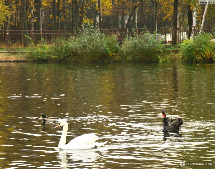 Сормовский парк