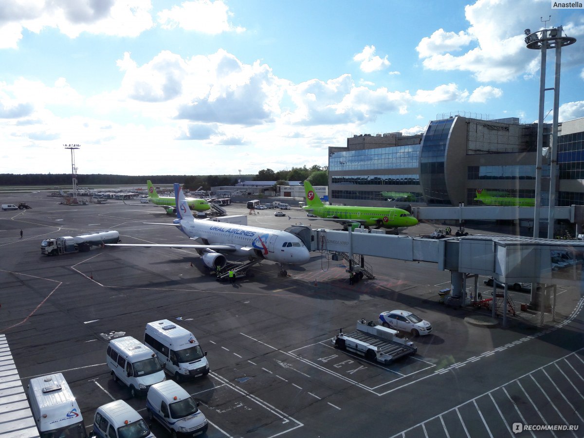 S7 Airlines (ОАО «Авиакомпания «Сибирь») - «Красивые самолётики и хорошее  обслуживание (можно заказать вегетарианский обед): летали из Нижнего  Новгорода в Новосибирск с пересадкой в Москве» | отзывы