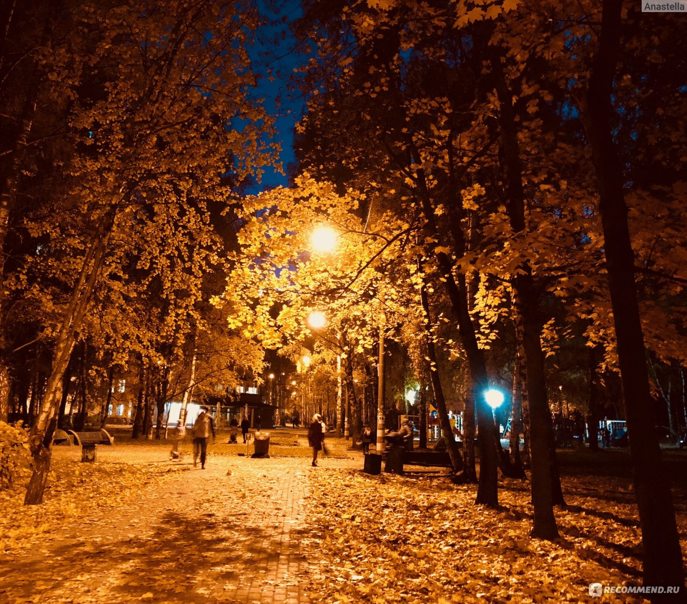 парк пушкина в челябинске зимой