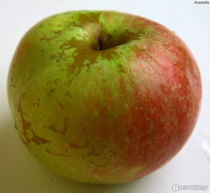 Яблоки кисло сладкие сорта. Сорт сладких яблок Айдаред. Яблоко гигант сорт. Сорта яблок без кислинки. Твердые сорта яблок.