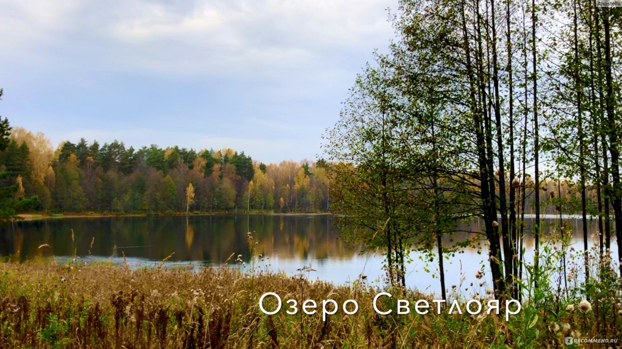 Россия, Нижегородская область, озеро Светлояр - «Загадочное озеро Светлояр  с затонувшим Градом Китежем» | отзывы