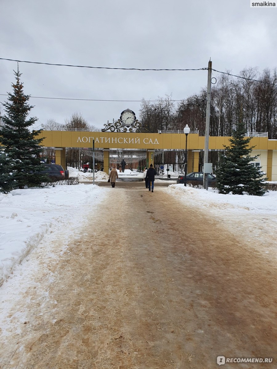 Центральный парк. Лопатинский сад, Смоленск - «интересное место для  прогулок и отдыха» | отзывы