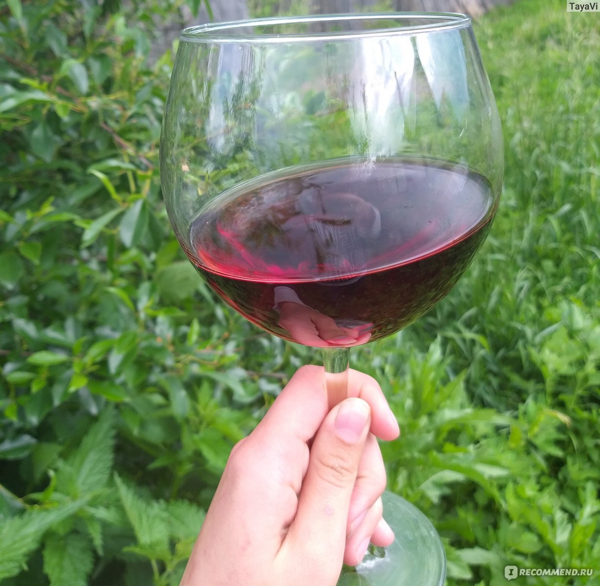 Домашнее вина из винограда