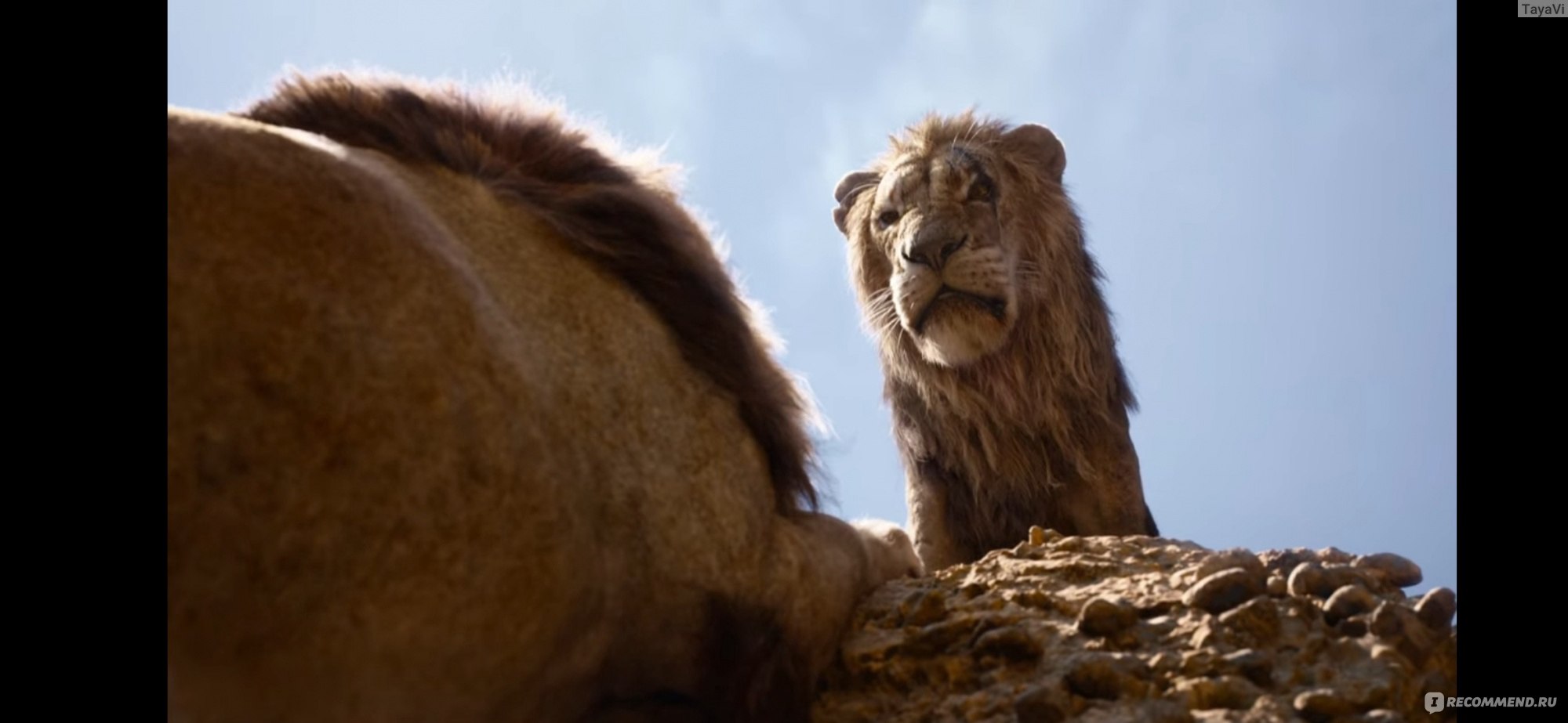 Король Лев / The Lion King (2019, фильм) - «Король Лев - очень красивый  фильм, ремейк старого мультфильма заслуживающий просмотра🦁» | отзывы