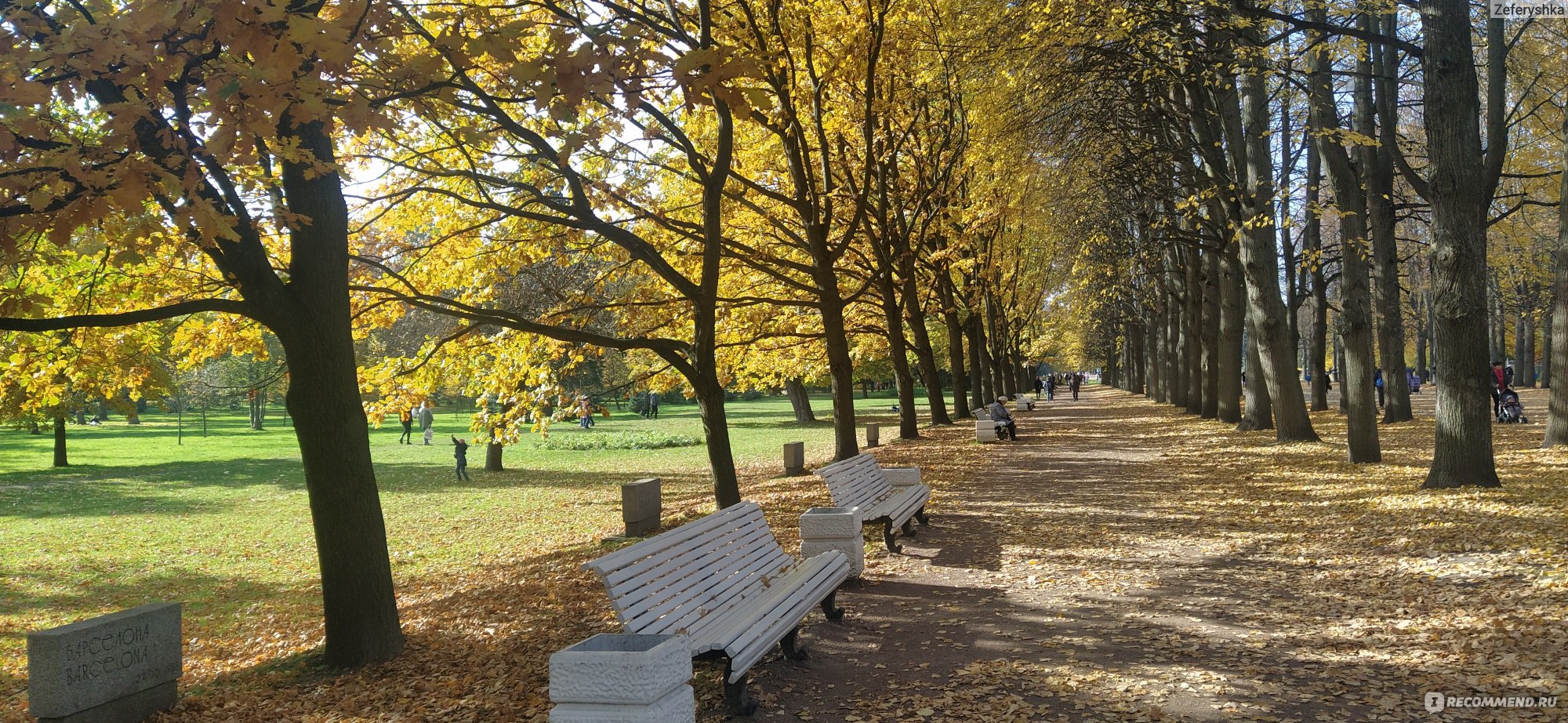 Покажи парк